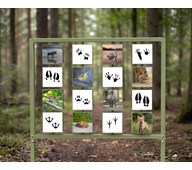 Eco Memory