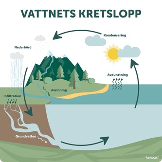 Utomhustavla Vattnets kretslopp