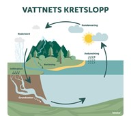 Utomhustavla Vattnets kretslopp