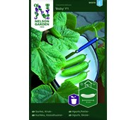 Krukgurkan Baby frö