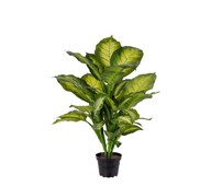 Konstväxt Prickblad tropic snow 55 cm