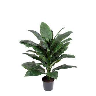 Konstväxt Spathifyllum 105 cm