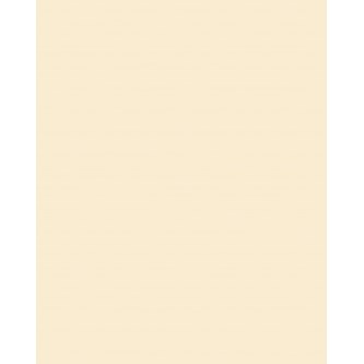 Folia kartong 70x100 cm 10-pack