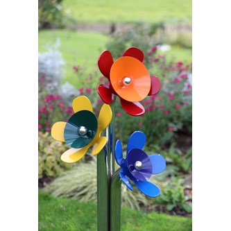 Harmony flower moll