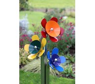 Harmony flower moll