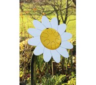 Blomtrumma prästkrage