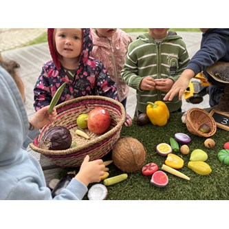 Lekmat frukter av sten, 20 delar