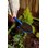 Spade robust, 78 cm