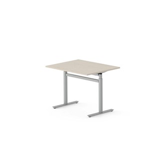 Skrivbord Work FSC BX T-G 100x80 cm, silverstativ