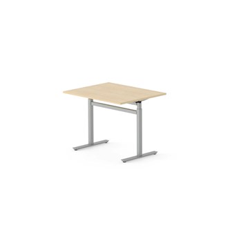 Skrivbord Work FSC BX T-G 100x80 cm, silverstativ