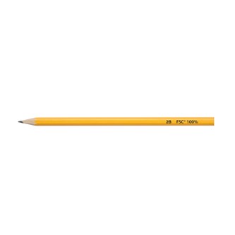 Polerade blyertspennor 12-pack