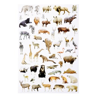 Klistermärken vilda djur 300st