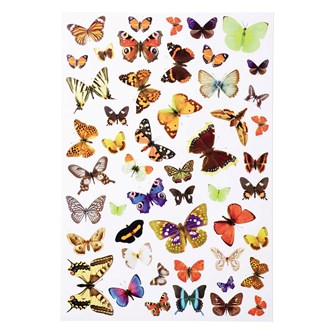 Klistermärken fjärilar