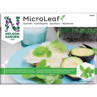 Micro sprouts frön MIX 2, 3-pack