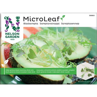 Micro sprouts frön MIX 2, 3-pack