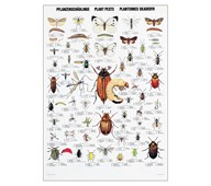 Affisch insekter och skadedjur