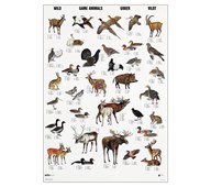 Affisch vilda djur