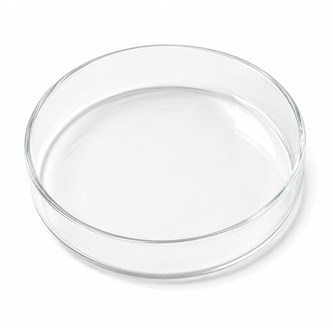 Petriskål ø 11 cm, av glas