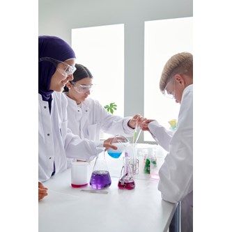 Glas E-kolv 250 ml 12-pack