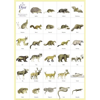 Affisch djur