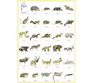 Affisch djur
