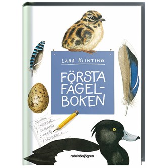 Första fågelboken