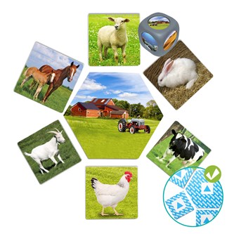 Klassificeringsspel Var bor djuren?