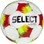 Select Futsal Talento 11