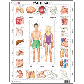 Pussel vår kropp