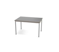 Bord Multiflex BX X 120x80 höjd 80 cm silverstativ