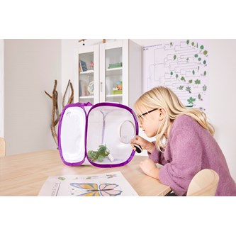 Fjärilsbur liten