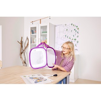 Fjärilsbur liten