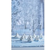 Snölyktor