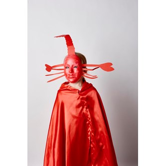 Stjärntecken Kräftan