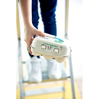 Äggkonstruktion - håller ägget?