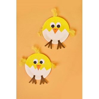 Nykläckt tallrikskyckling