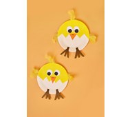 Nykläckt tallrikskyckling