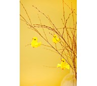 En vingad påskkyckling