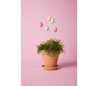 Blompinnar i pastell