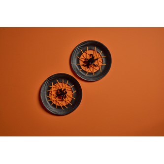 Spindelnät av papptallrik