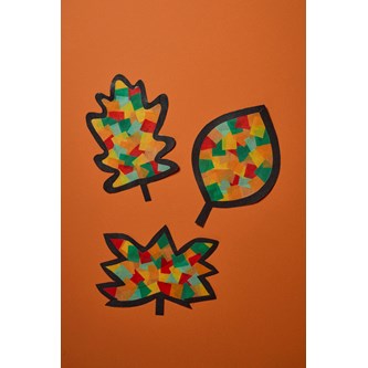 Solfångare höstlöv