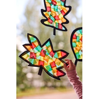 Solfångare höstlöv