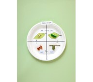 Fjärilens livscykel