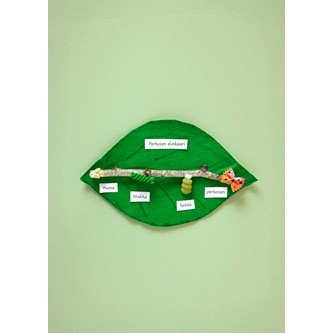 Fjärilens livscykel med pasta