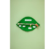 Fjärilens livscykel med pasta