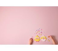 PLUS-PLUS kycklingar