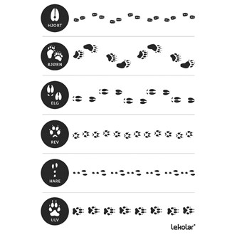 Vilket djur tillhör spåren