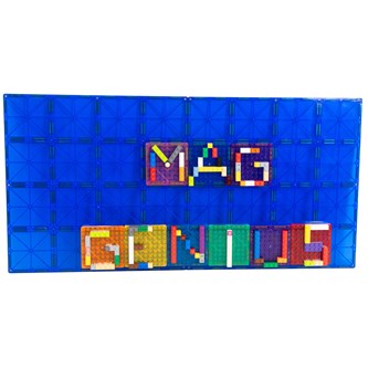 Mag Genius med byggklossar