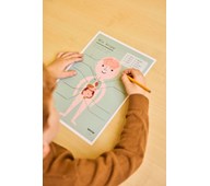 Min kropp: organ – gratis material