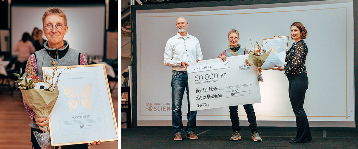 Vinnare av l&auml;rarpriset Guldfj&auml;rilen 2026
